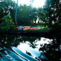 Backwaters Kerala India