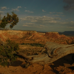 New Mexico landscape