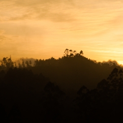 Munnar India Sunset India