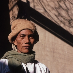 burmese sweeper mandalay